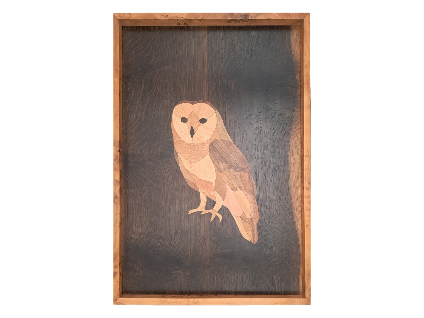 Furnierbild FS06 - "Barn Owl"